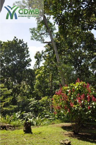 Parque La Flora